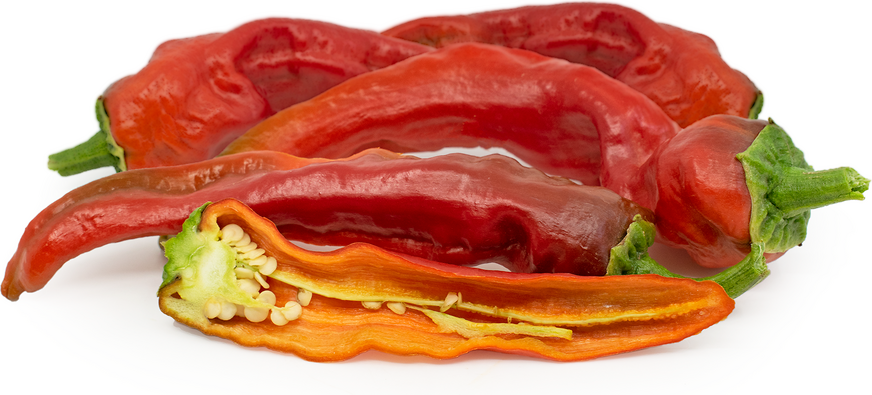 TXORIXERO