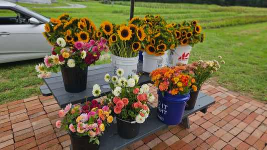 2026 Broom's Blooms VIP Season Membership