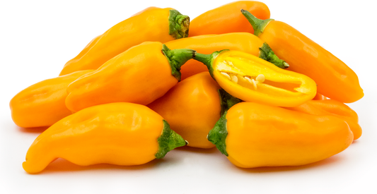 Jalapeno Orange Spice Plant