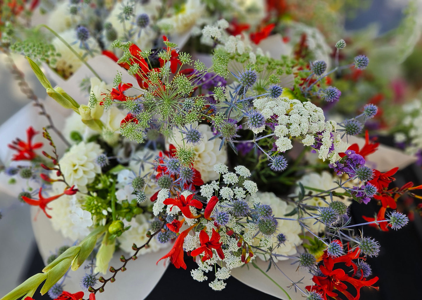 2026 Broom's Blooms VIP Season Membership