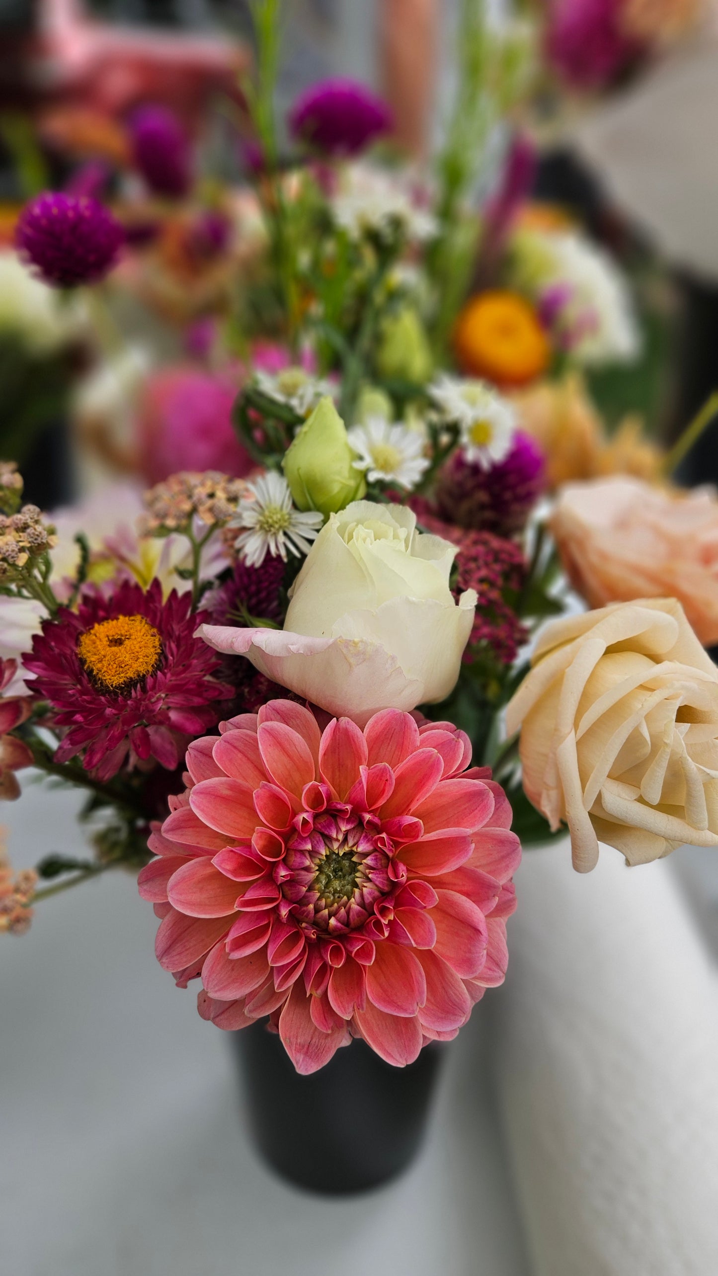 2026 Broom's Blooms VIP Season Membership