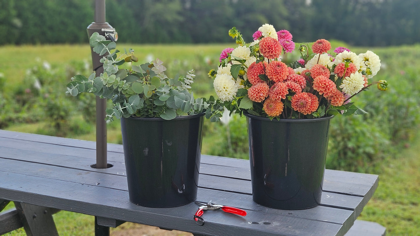 2026 Broom's Blooms VIP Season Membership