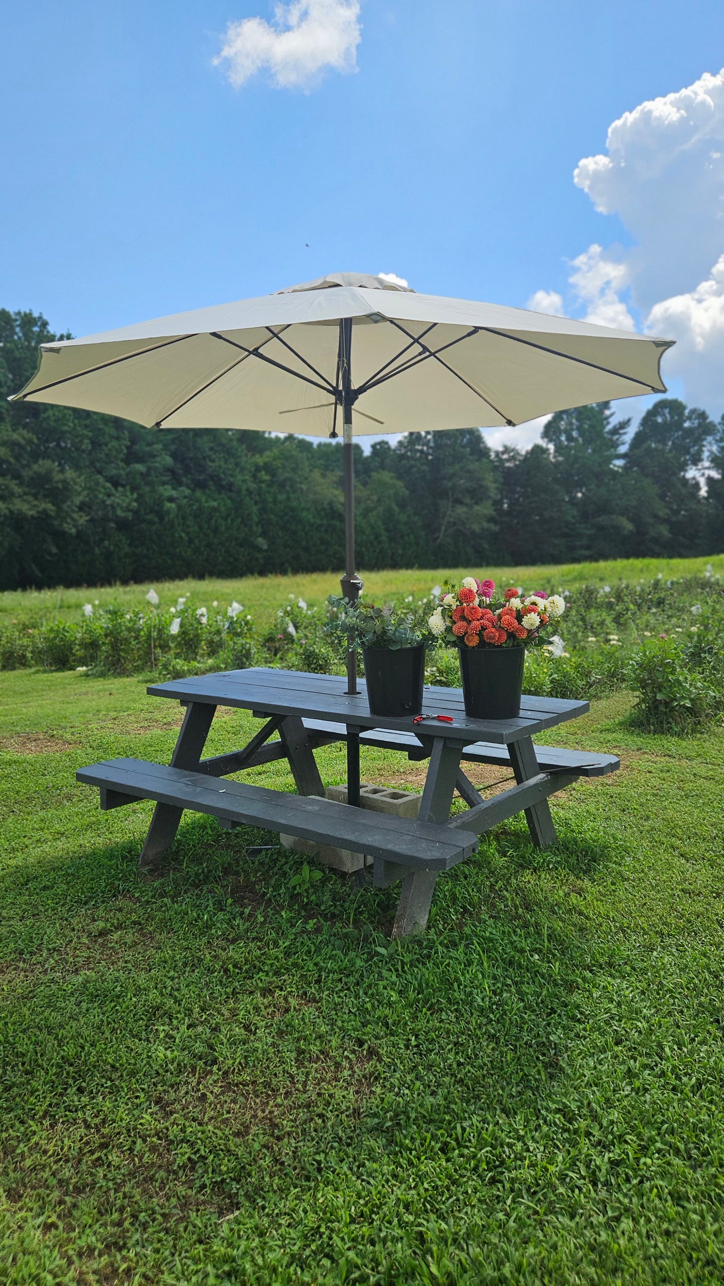 2026 Broom's Blooms VIP Season Membership