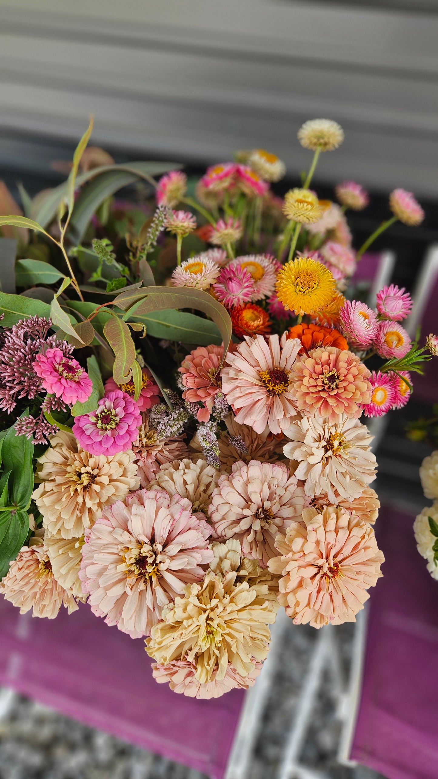 2026 Broom's Blooms VIP Season Membership