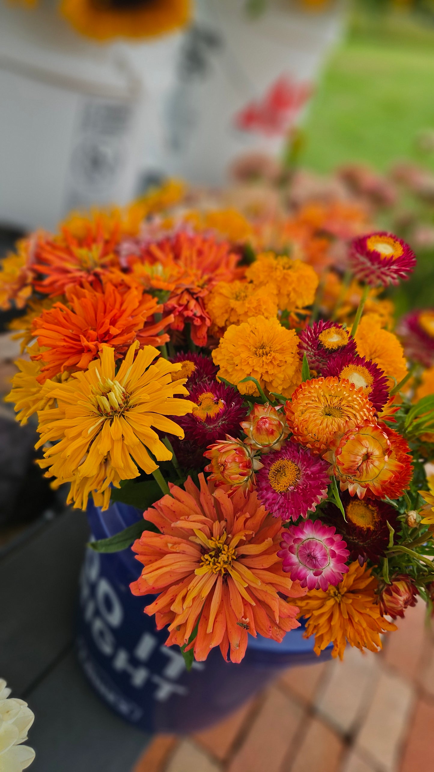 2026 Broom's Blooms VIP Season Membership