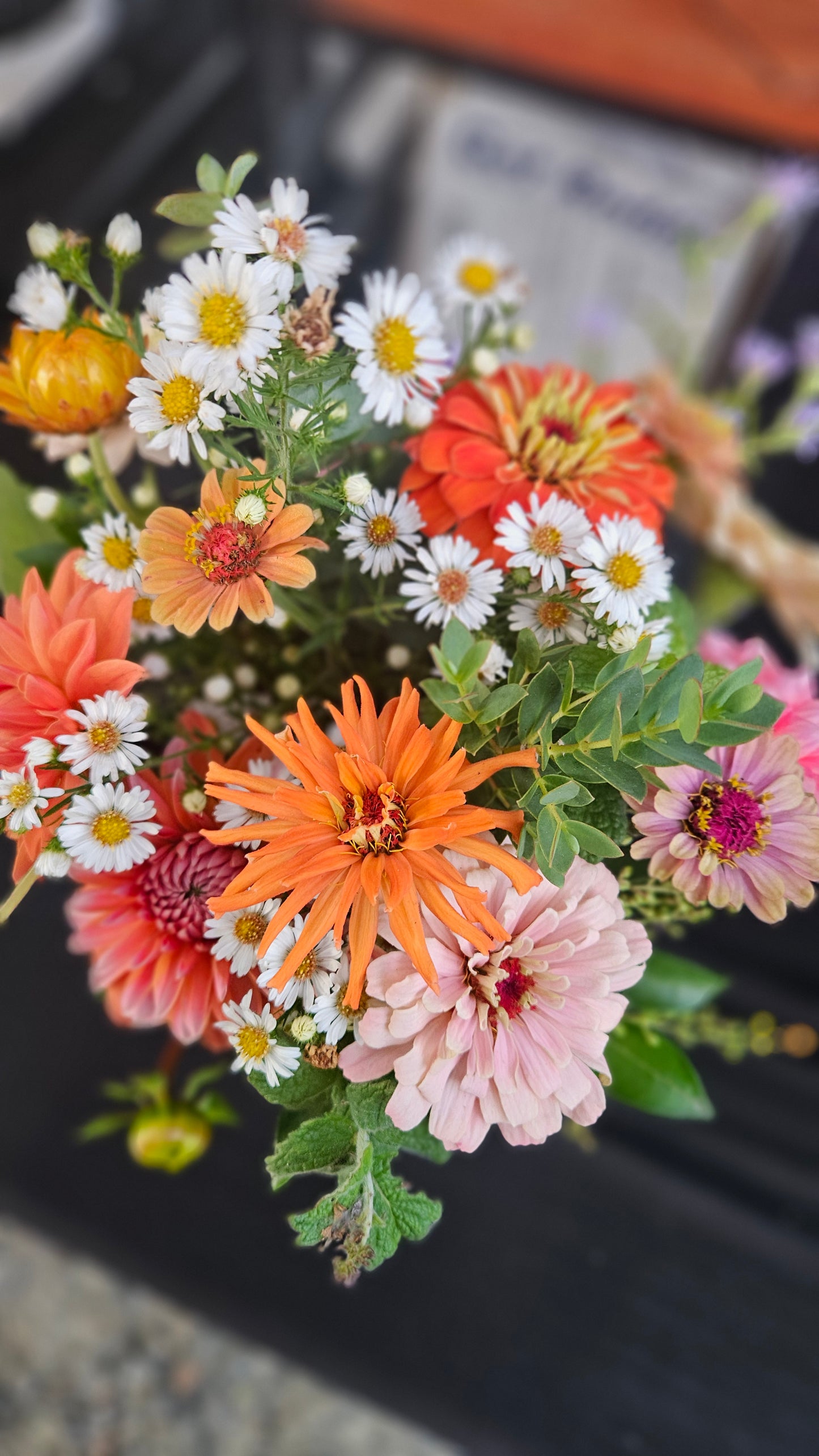 2026 Broom's Blooms VIP Season Membership