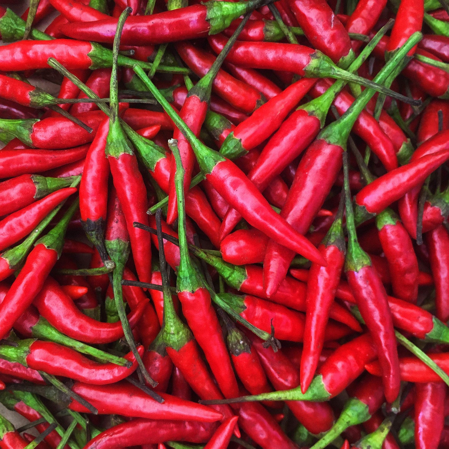 Red Thai chile