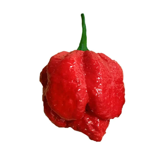 Trinidad Moruga Scorpion