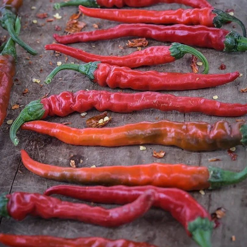 Cayenne Long Thin Plant